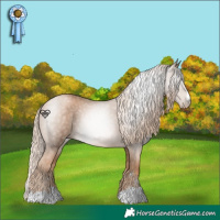 Horse Color:Gray Chocolate Palomino Pearl 
