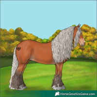 Horse Color:Silver Bay 