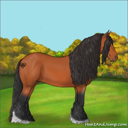 Horse Color:Bay Tobiano