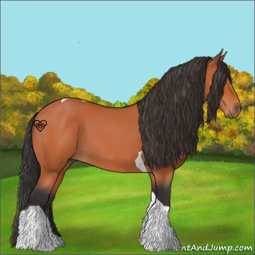 Horse Color:Bay Tobiano 