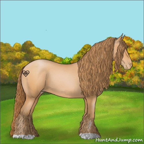 Horse Color:Bay Pearl 