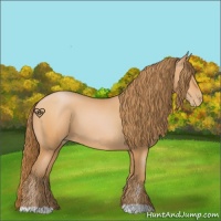Horse Color:Bay Pearl 