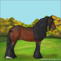 Horse Color:Brown 