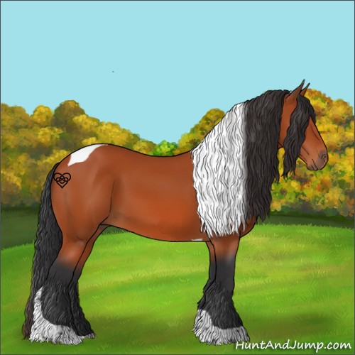 Horse Color:Bay Tobiano 