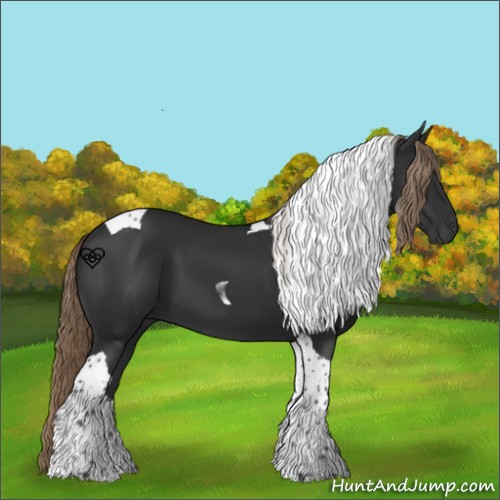 Horse Color:Liver Chestnut Tobiano 