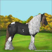 Horse Color:Liver Chestnut Tobiano 