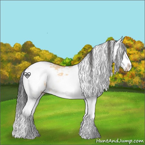 Horse Color:Bay Dun Sabino Splash 