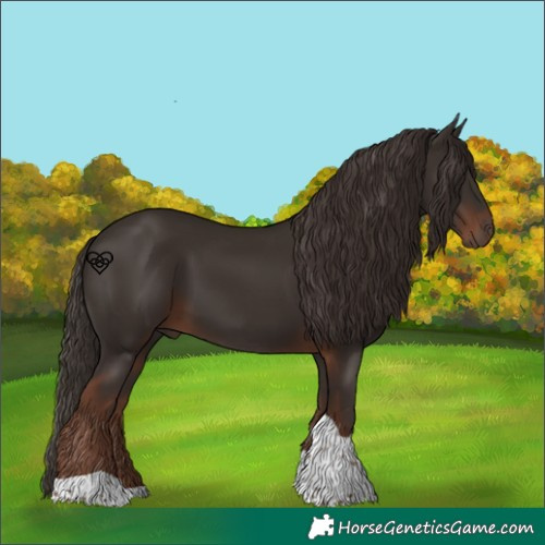 Horse Color:Liver Chestnut Tobiano