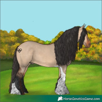 Horse Color:Bay Dun Tobiano 