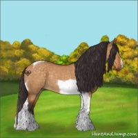 Horse Color:Buckskin Dun Tobiano Rabicano 