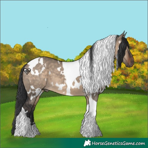 Horse Color:White Spotted Brown Dun Tobiano