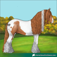 Horse Color:Chestnut Tobiano 