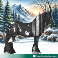 Horse Color:White Spotted Black 