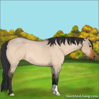 Horse Color:Brown Roan Dun 