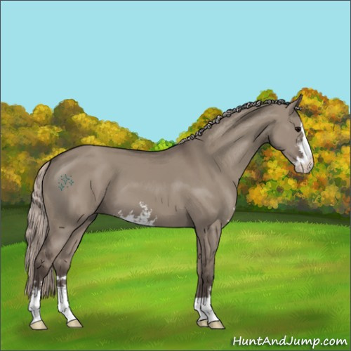 Horse Color:Silver Grullo Sabino 