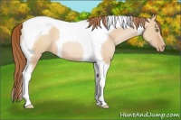 Horse Color:Brown Pearl Dun Tobiano 