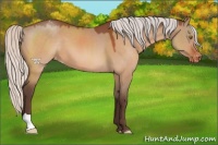 Horse Color:Silver Brown Dun Varnish 