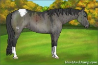Horse Color:Grullo Varnish Brindle 