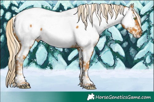 Horse Color:White Spotted Gold Cream Champagne Tobiano Near Fewspot