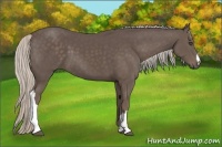 Horse Color:Silver Black 