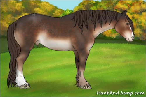 Horse Color:Liver Chestnut Sabino Appaloosa Rabicano 