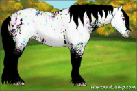 Horse Color:Liver Chestnut Chinchilla Ice Sabino 