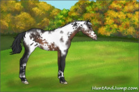 Horse Color:Brown Frame 