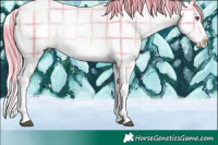 Horse Color:Plaid  Liver Chestnut Chinchilla Sabino Splash Rabicano 