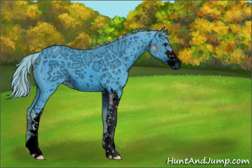 Horse Color:ERROR: UNKNOWN ANOMALY