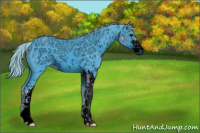 Horse Color:ERROR: UNKNOWN ANOMALY