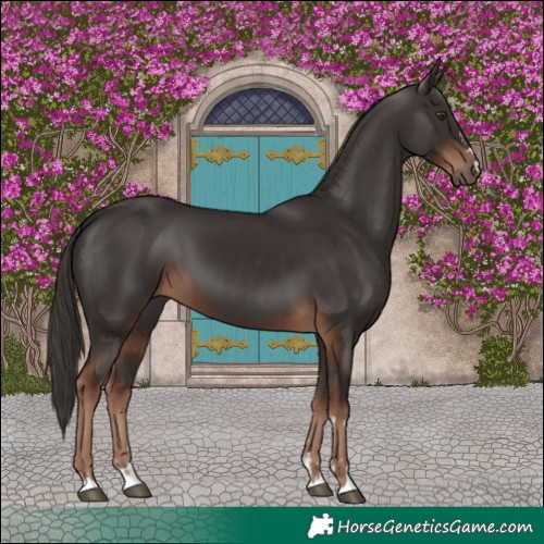 Horse Color:Liver Chestnut  and Liver Chestnut 
