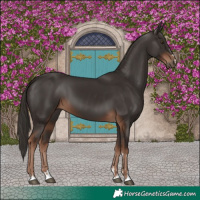 Horse Color:Liver Chestnut  and Liver Chestnut 