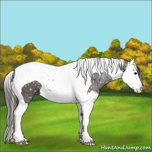 Horse Color:Smoky Black Ice Splash Tobiano