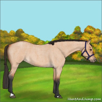 Horse Color:Bay Roan Dun 