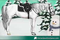 Horse Color:Gray Bay Roan Tobiano 