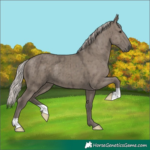 Horse Color:Silver Grullo Brindle