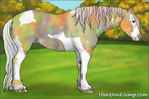 Horse Color:ERROR: UNKNOWN ANOMALY