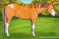 Horse Color:Painted Watercolor Liver Chestnut Sabino Splash Appaloosa 