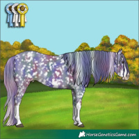 Horse Color:Nacre Watercolor Liver Chestnut Sabino Splash Appaloosa 