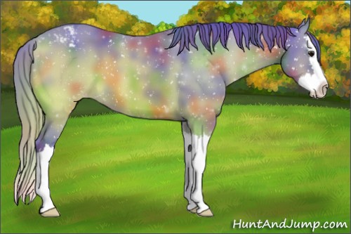 Horse Color:Nacre Watercolor Bay Sabino Splash Snowflake Varnish