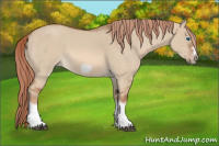 Horse Color:Red Dun Roan Splash Frame Rabicano 