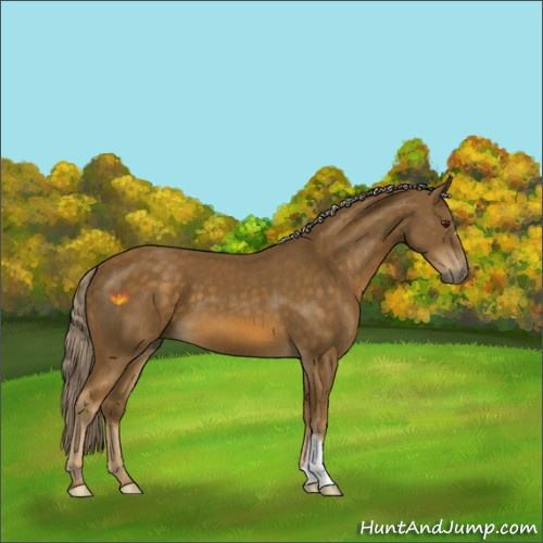 Horse Color:Chocolate Palomino