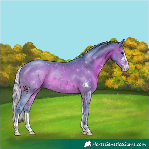 Horse Color:Watercolor Silver Brown Sabino Rabicano 