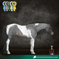 Horse Color:Brown Roan Tobiano Varnish 