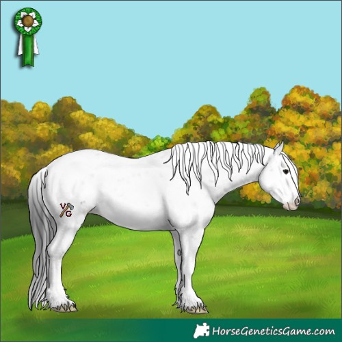 Horse Color:Unknown 