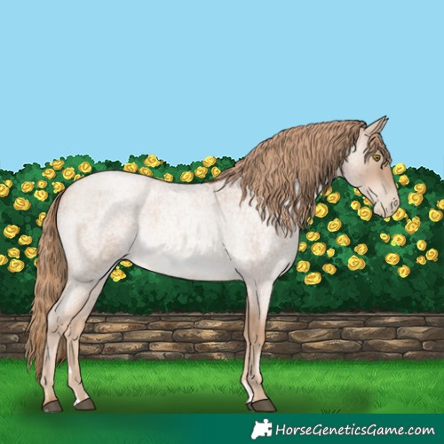 Horse Color:Red Roan Pearl 