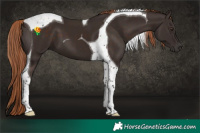 Horse Color:Liver Chestnut Tobiano 