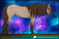 Horse Color:White Spotted Liver Red Dun Rabicano 