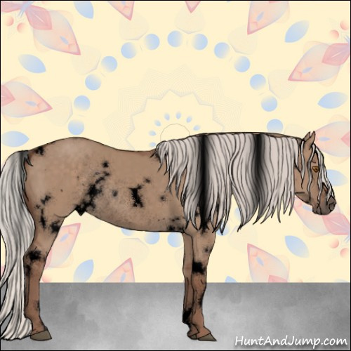 Horse Color:Void White Spotted Silver Grullo Rabicano