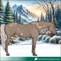 Horse Color:White Spotted Silver Grullo Rabicano 